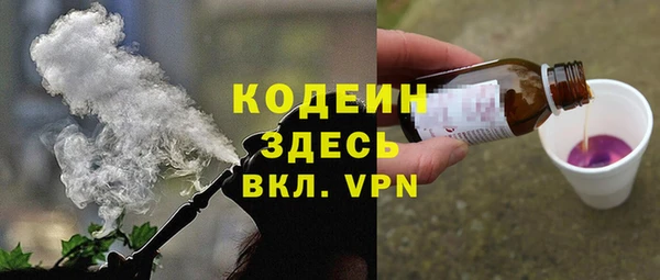 дживик Верхний Тагил