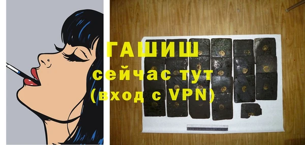 дживик Верхний Тагил