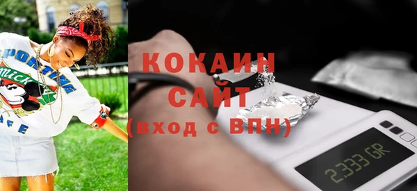 дживик Верхний Тагил