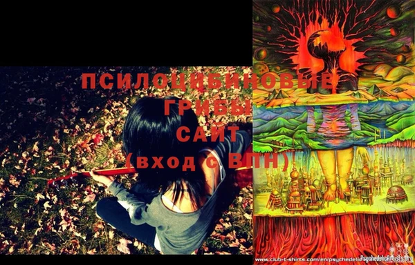 прущая мука Верея