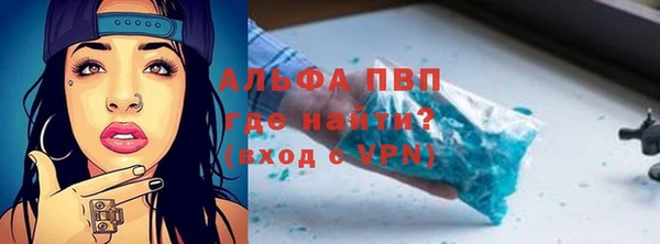дживик Верхний Тагил