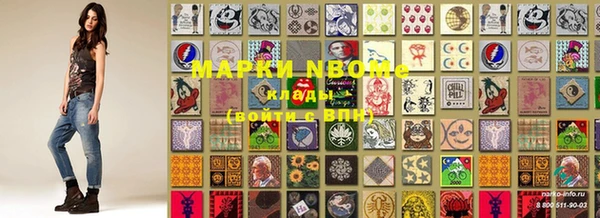 дживик Верхний Тагил