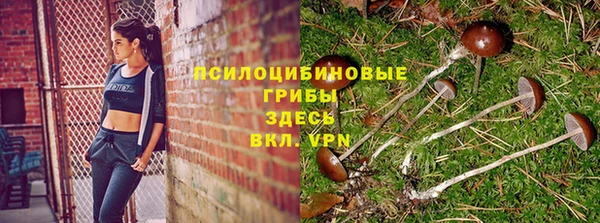 дживик Верхний Тагил