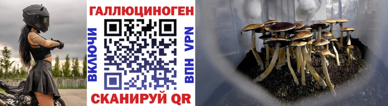 Псилоцибиновые грибы мицелий  Ставрополь 