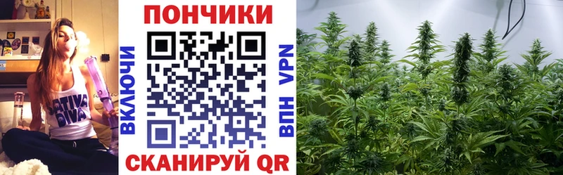 Канабис VHQ  Ставрополь 